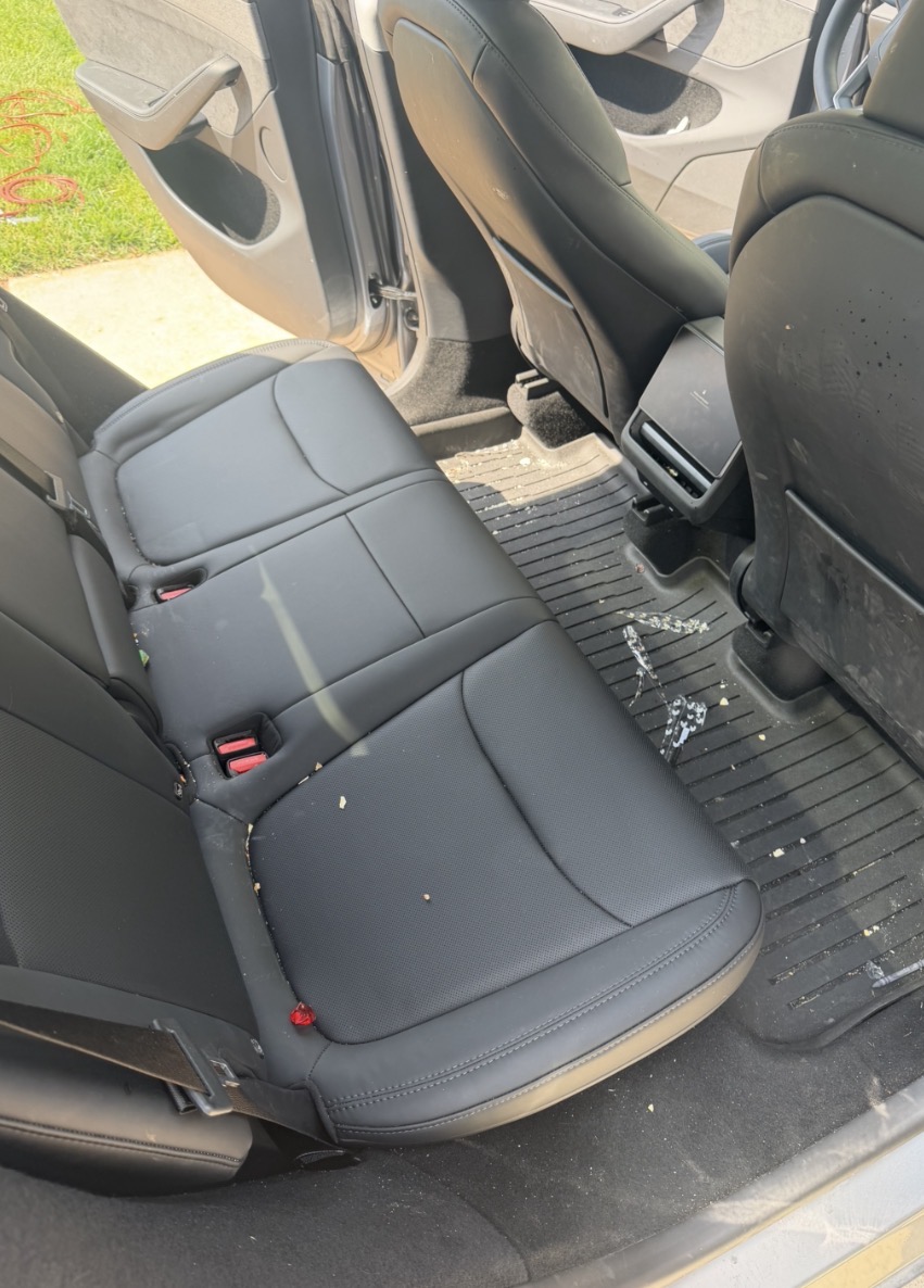 Vehicle interior before detailing
